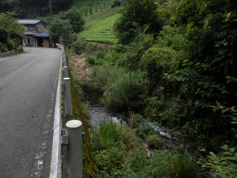 のどかな山里の道