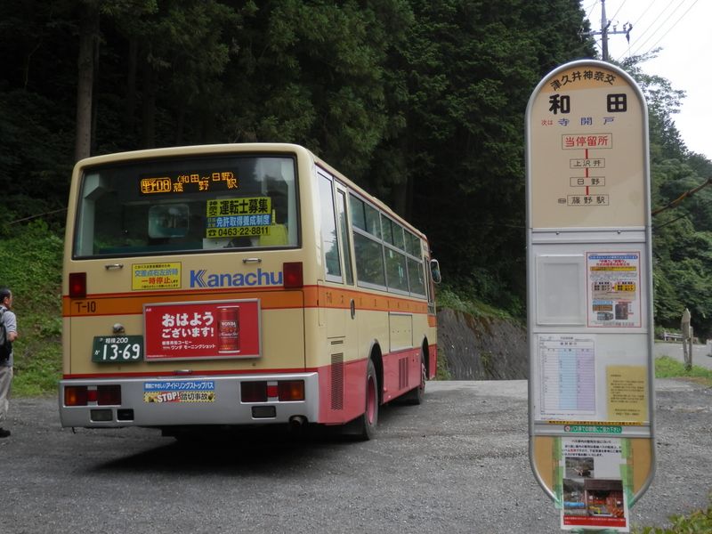 p7239183.jpg (large)