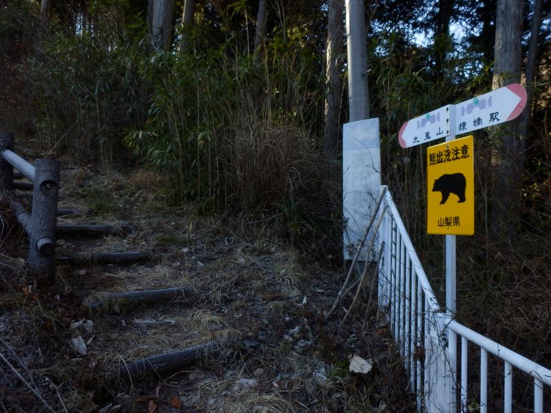 この階段から山道