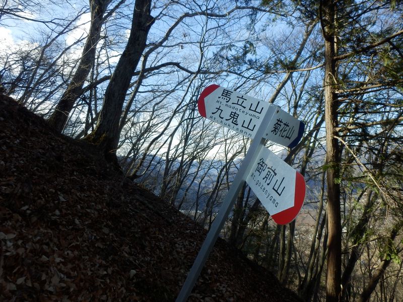 菊花山からの道を合わせる