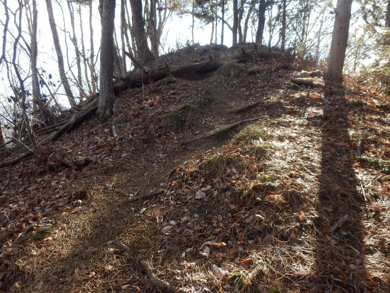 馬立山の手前の小峰