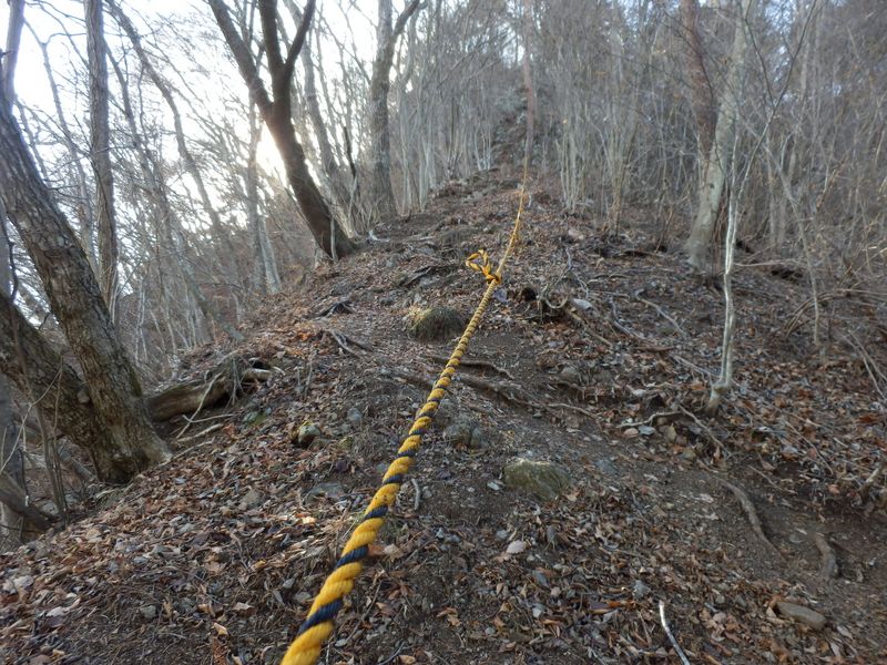 長いロープが連続
