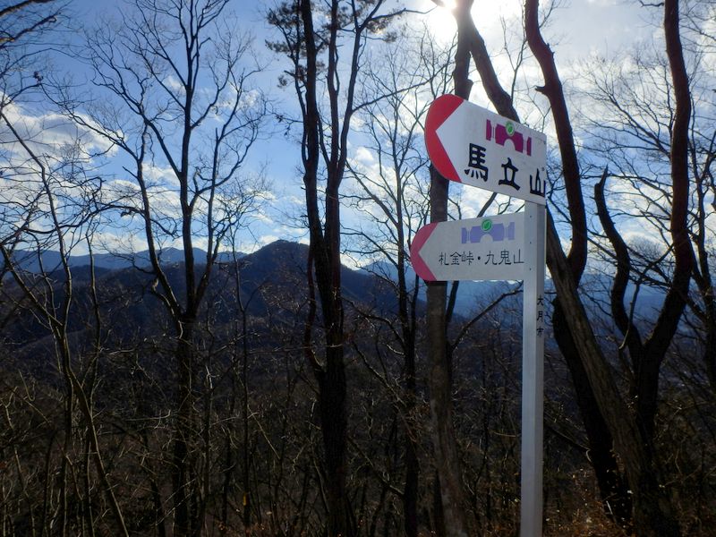 左折して枝尾根に入る