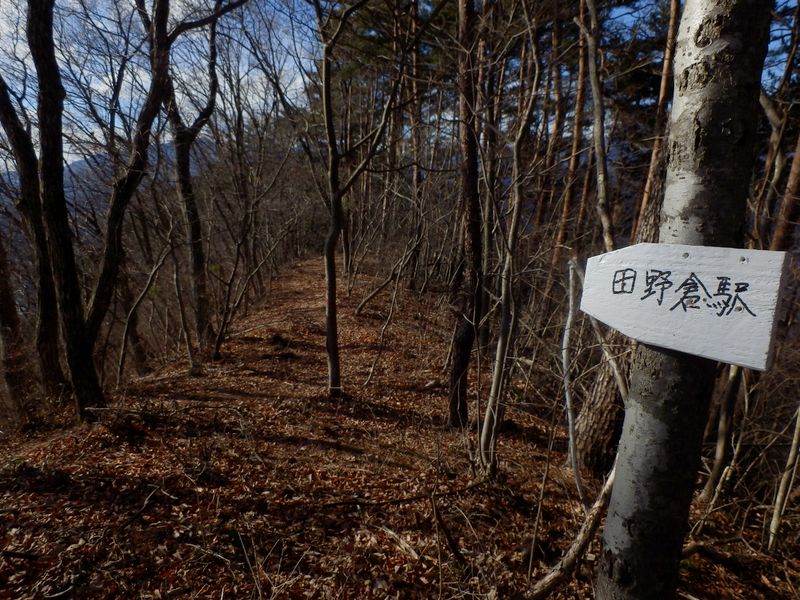 田野倉駅への分岐