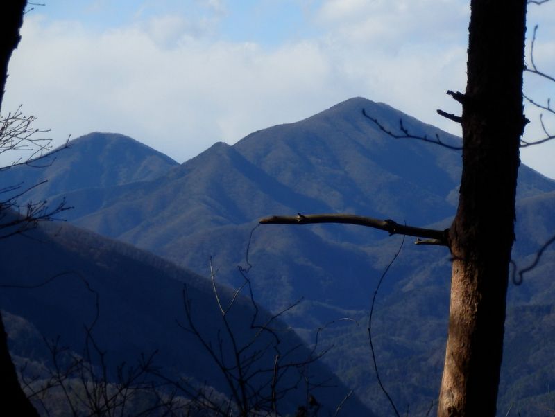 お坊山東峰（右）南東尾根
