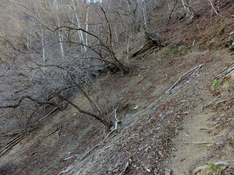 ザレ道が低温で固まって