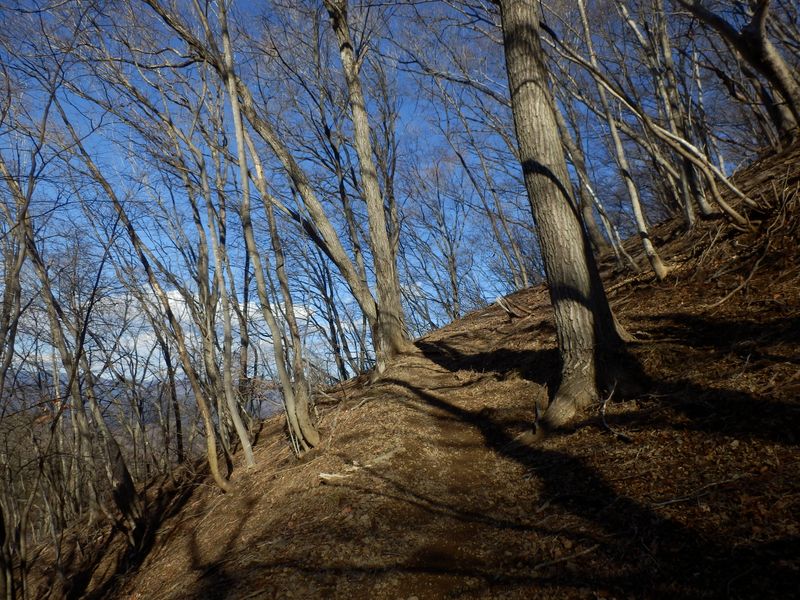 山頂が近いような予感