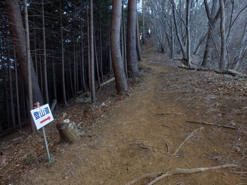 九鬼山北東尾根出合