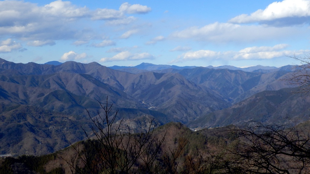 楢ノ木尾根東部、オゴシ山南稜、牛ノ寝通り、奥多摩のパノラマ