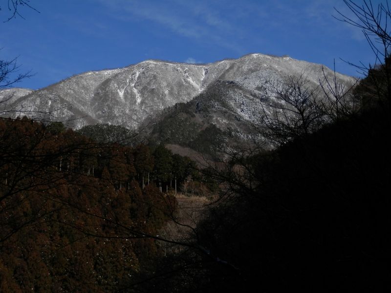 西山林道より、鍋割山稜を望む