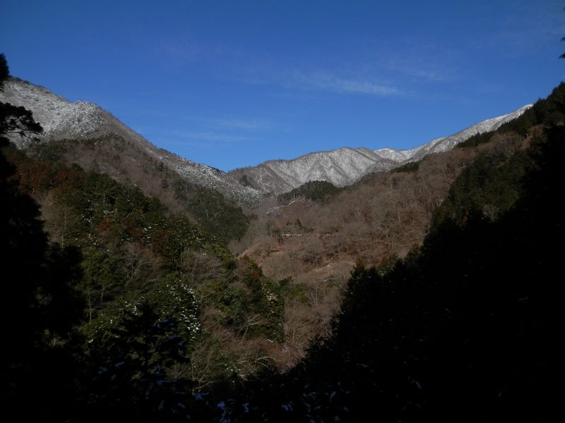 西山林道より、後沢乗越方面を望む