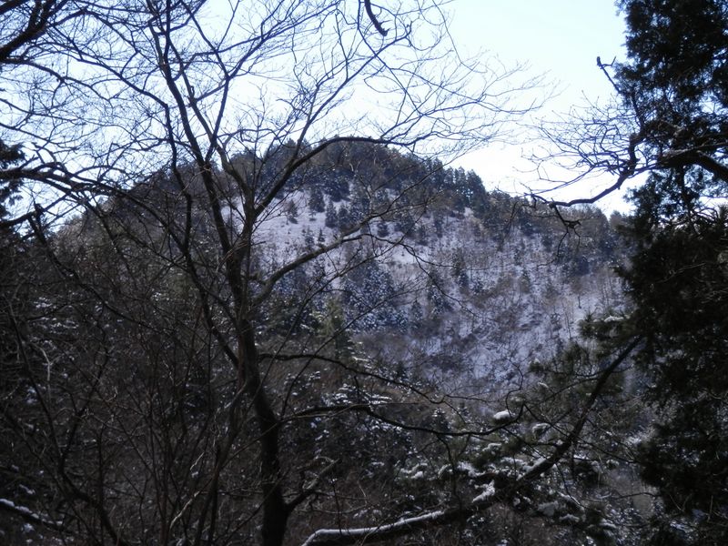 行く手に栗ノ木洞が見える