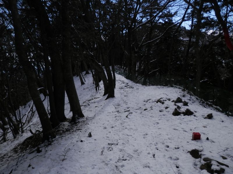 尾根が広く、歩きやすくなった