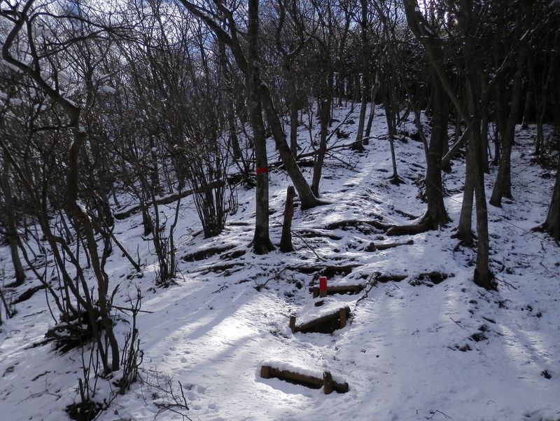 間もなく栗の木洞の頂上