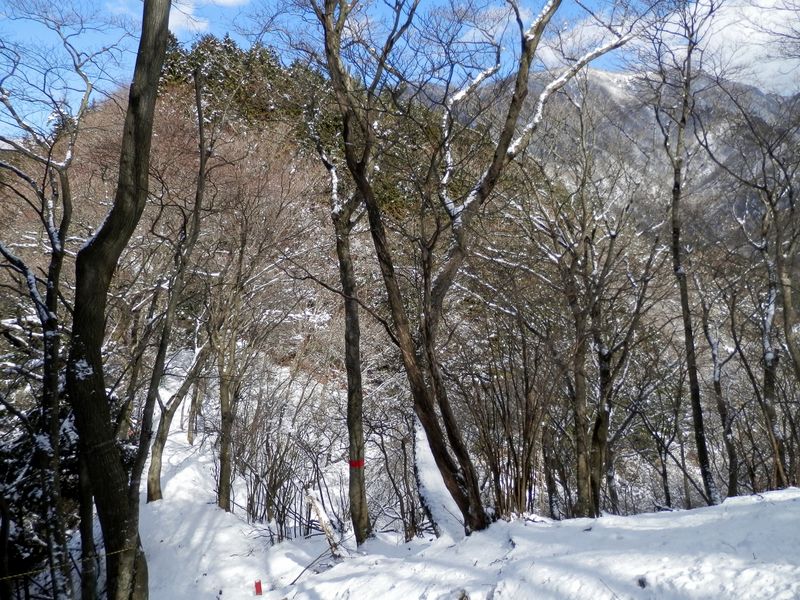 振り返ると、鍋割山稜が見えてきた