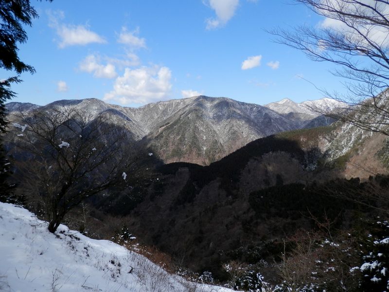 栗ノ木洞より雨山を望む。右奥は檜洞丸