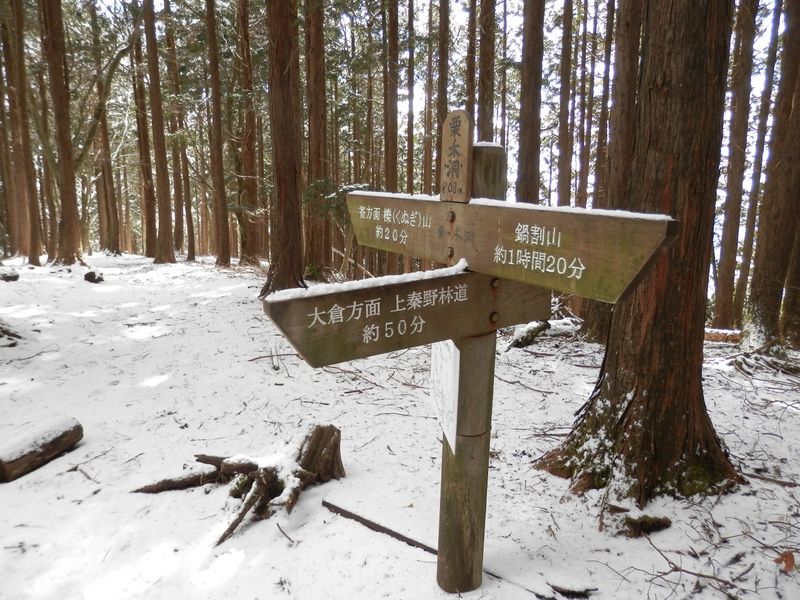 栗ノ木洞山頂は展望がない