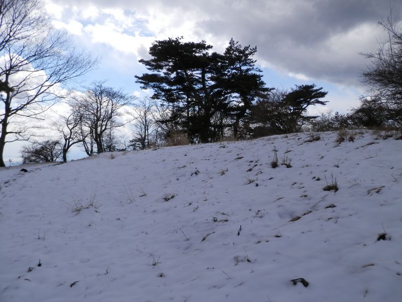 櫟山の頂上。広々としている。