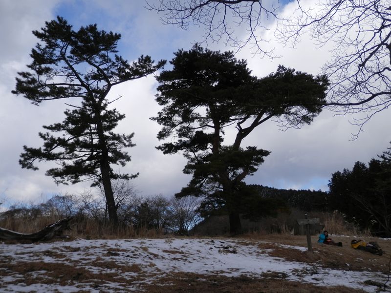 櫟山山頂広場。芝生の上でのんびりできる。