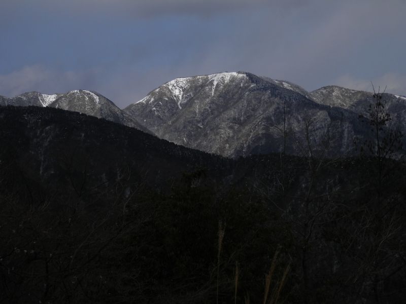 櫟山より望む、三ノ塔の堂々とした姿