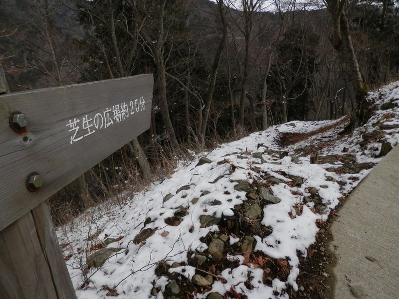 上秦野林道を2度横断する