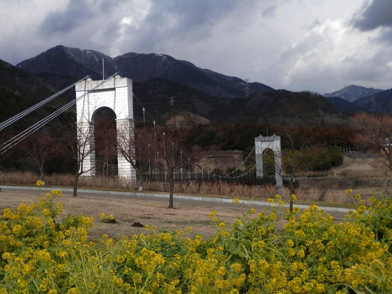>三ノ塔と大山を眺めながらバスを待つ