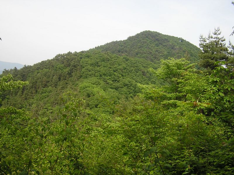 倉岳山・高畑山 -- まもなく高畑山