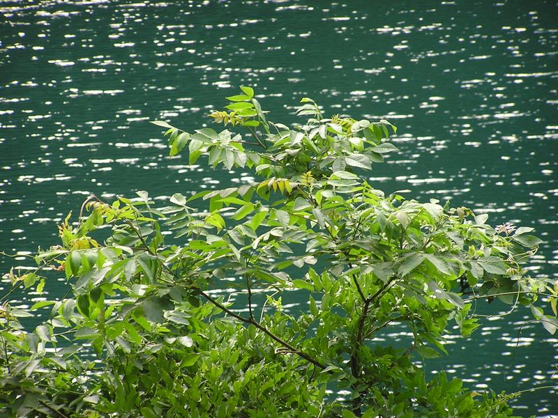 倉岳山・高畑山 -- 小篠貯水池