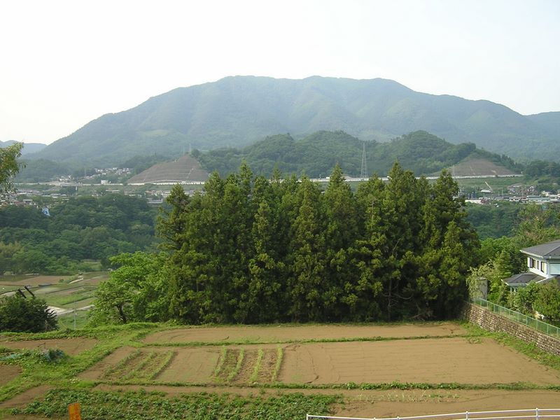 倉岳山・高畑山 -- こちらの扇山もどっしりと