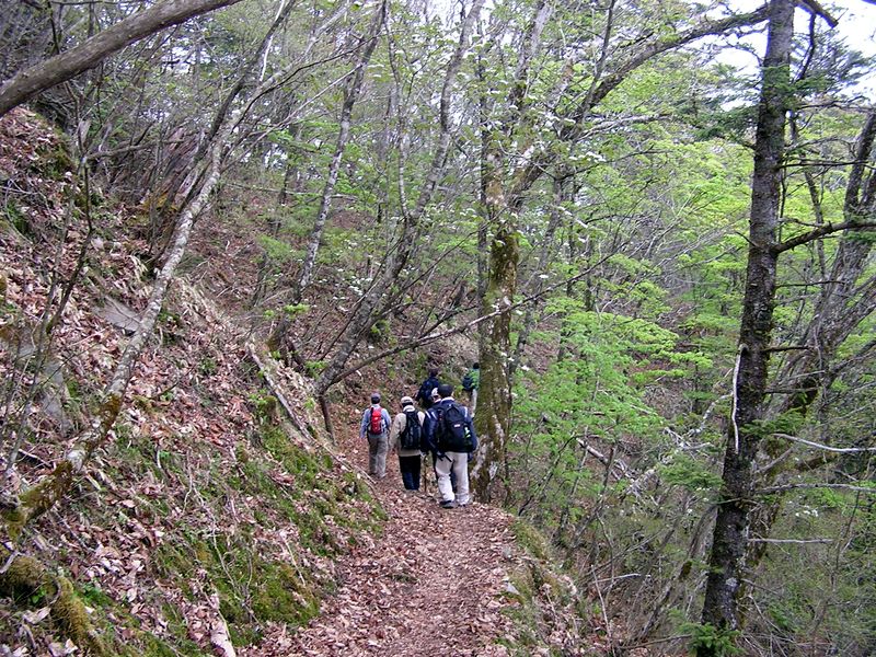 黒川鶏冠山 -- 静かな登山道