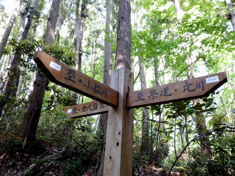 金比羅宮方面に向かう