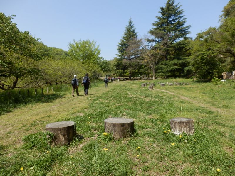 城山湖コミュニティ広場