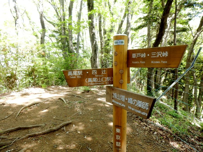 四辻経由、高尾山口駅を目指す