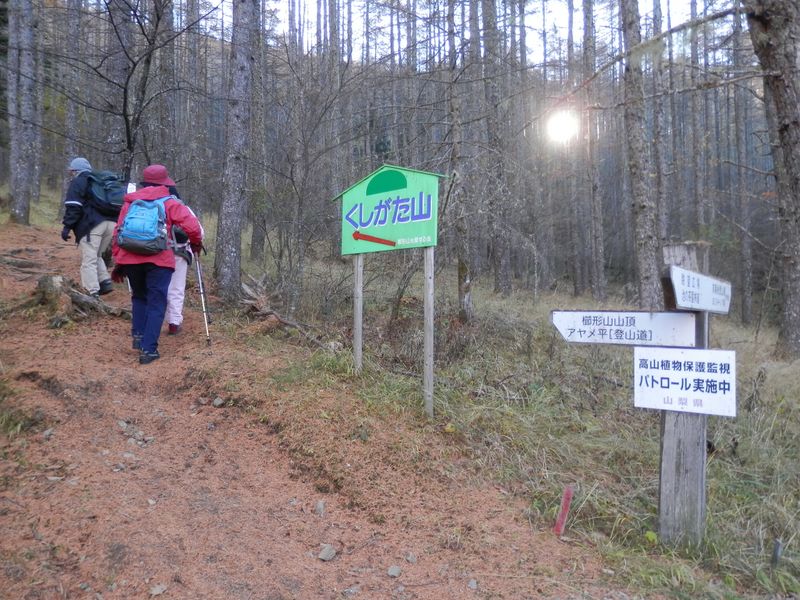 櫛形山登山口から登山開始