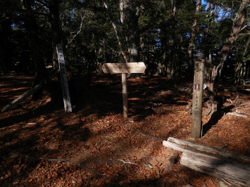 櫛形山 -- 山頂標のある峰
