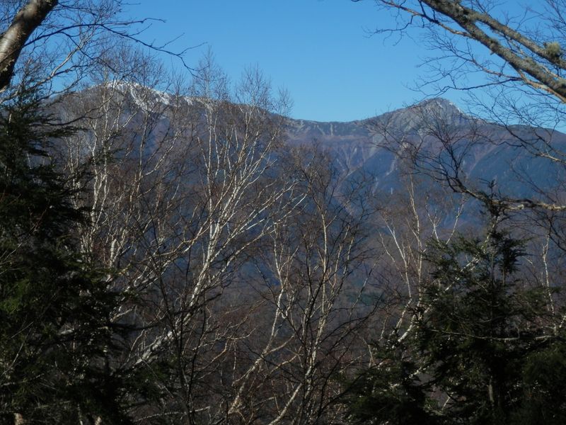 櫛形山 -- 裸山より、北岳と間ノ岳を望む