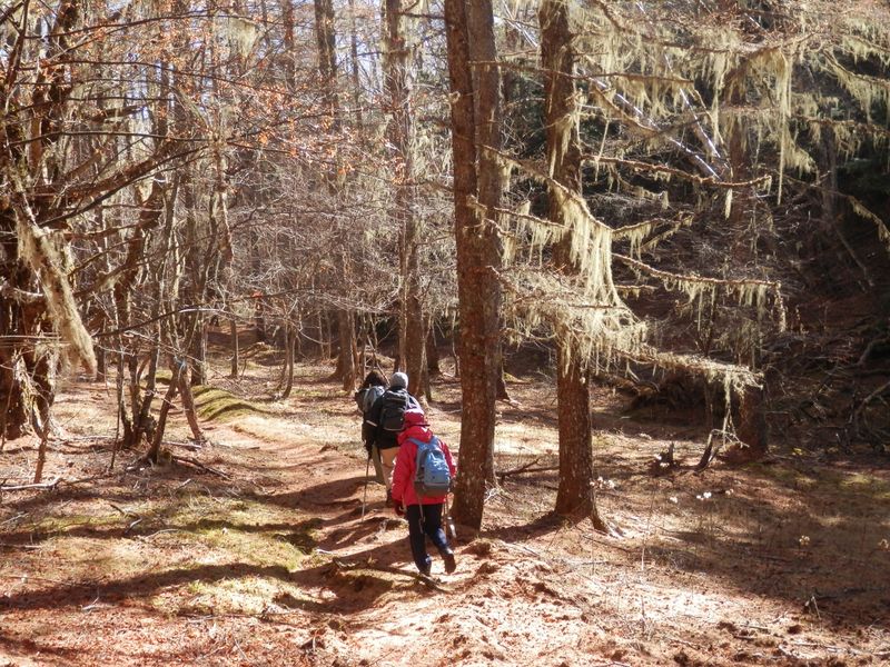 櫛形山 -- 裸山を後に、櫛形山に向かう