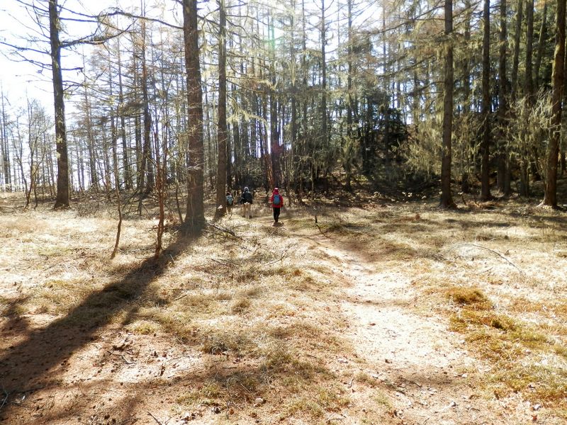 櫛形山 -- 明るい平坦地