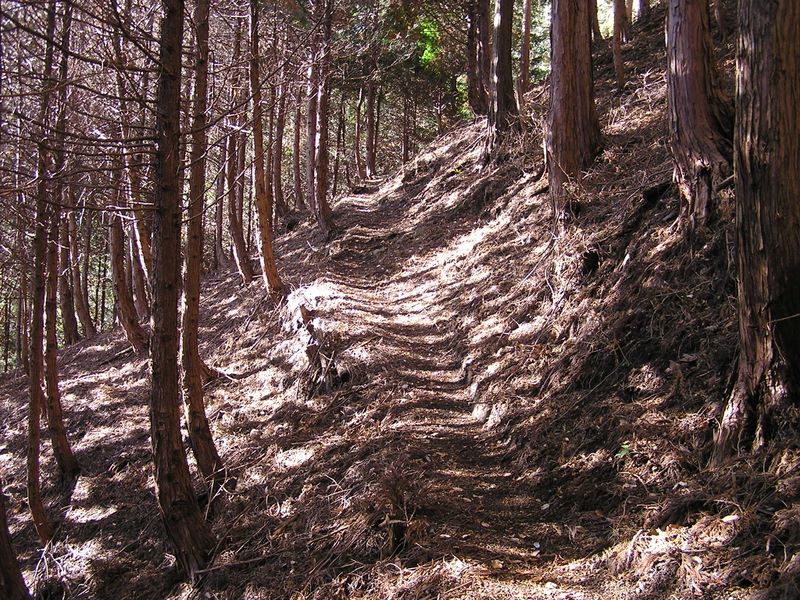経ヶ岳・華厳山・高取山 -- 軽快に登って行ける道