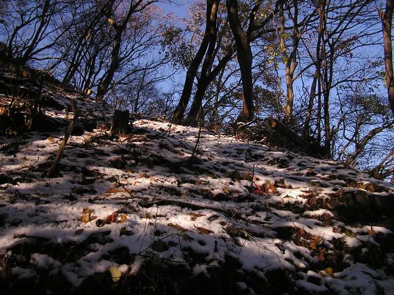 経ヶ岳・華厳山・高取山 -- 少しずつ雪が増えてくる