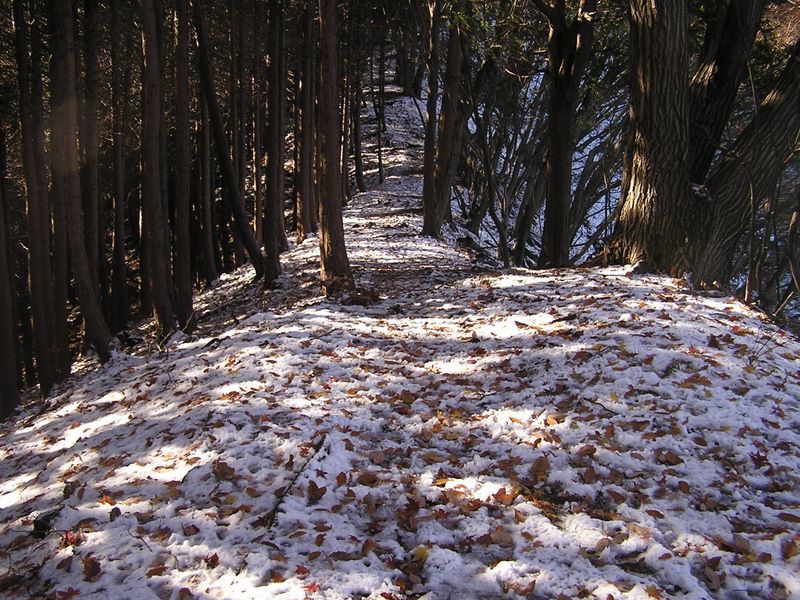 経ヶ岳・華厳山・高取山 -- 雪が降って、その上に枯れ葉が降って
