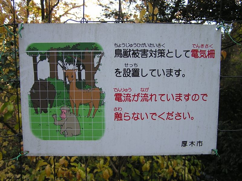 経ヶ岳・華厳山・高取山 -- ゴルフ場に沿って、電気柵が設置されている