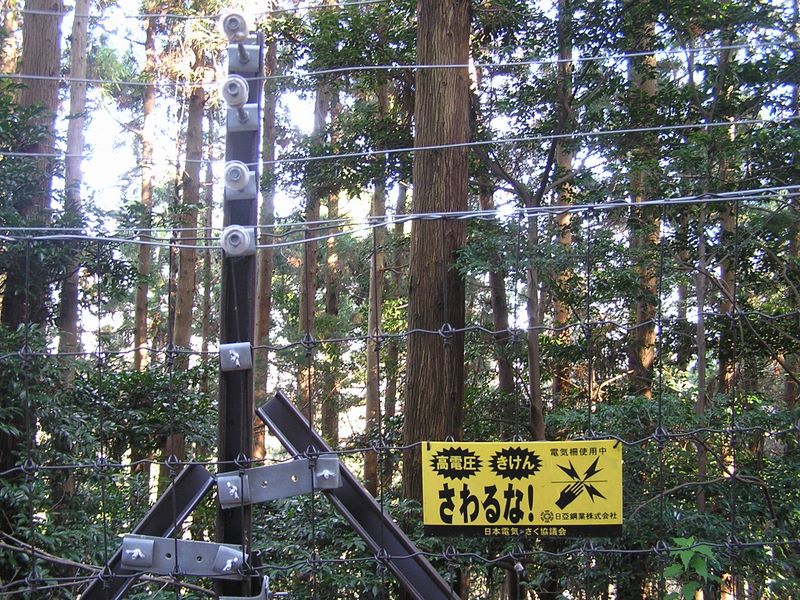 経ヶ岳・華厳山・高取山 -- ゴルフ場の電気柵