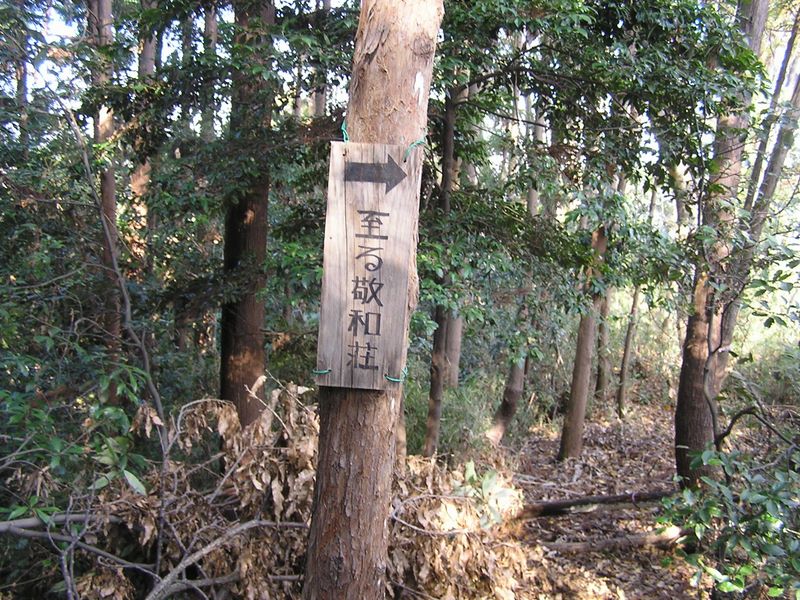 経ヶ岳・華厳山・高取山 -- このあたり、どこを見ても道は見当たらない