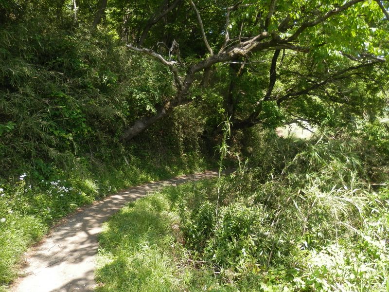 住宅街が終わると、こんな道