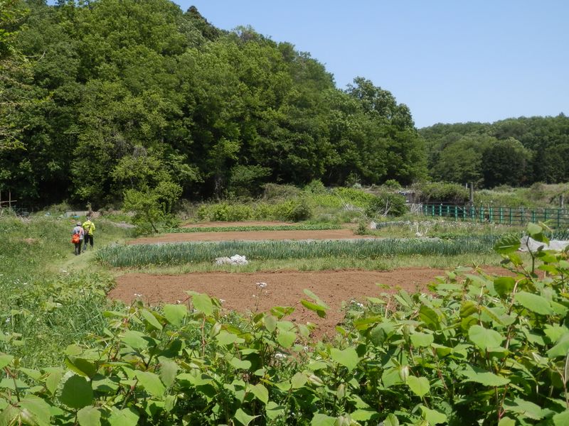 右手に横浜線のトンネル