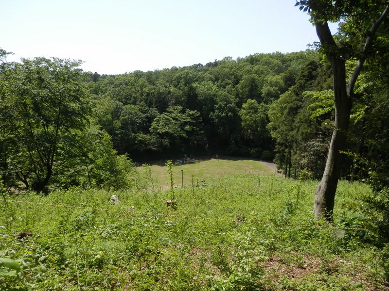 相原中央公園の丘