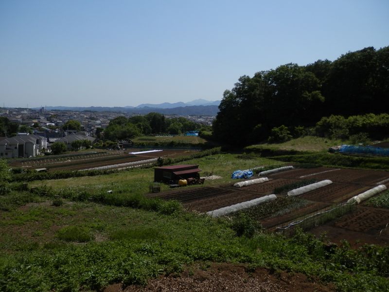 ビューポイント