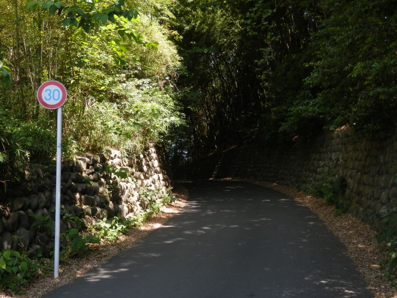 古道のような雰囲気