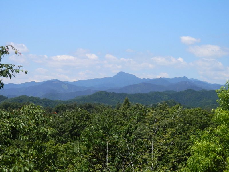 塩船観音像から奥多摩の山々を望む